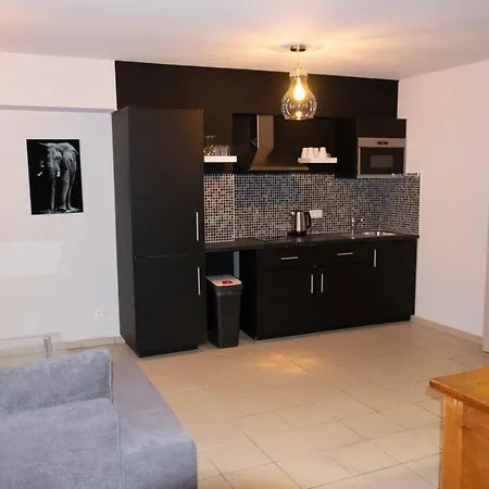 Apartment Renovated In Center